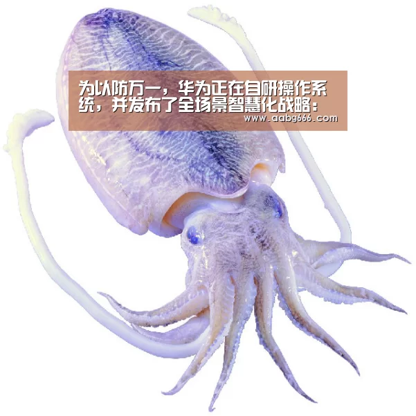 欧博