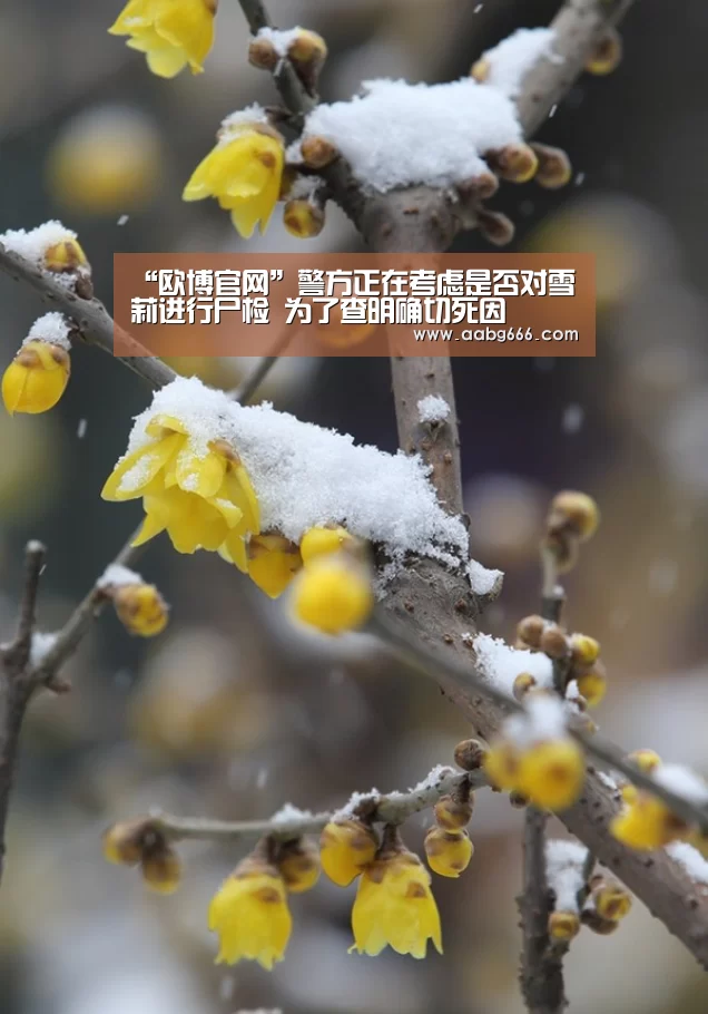 “欧博官网”警方正在考虑是否对雪莉进行尸检 为了查明确切死因(图2) 欧博
