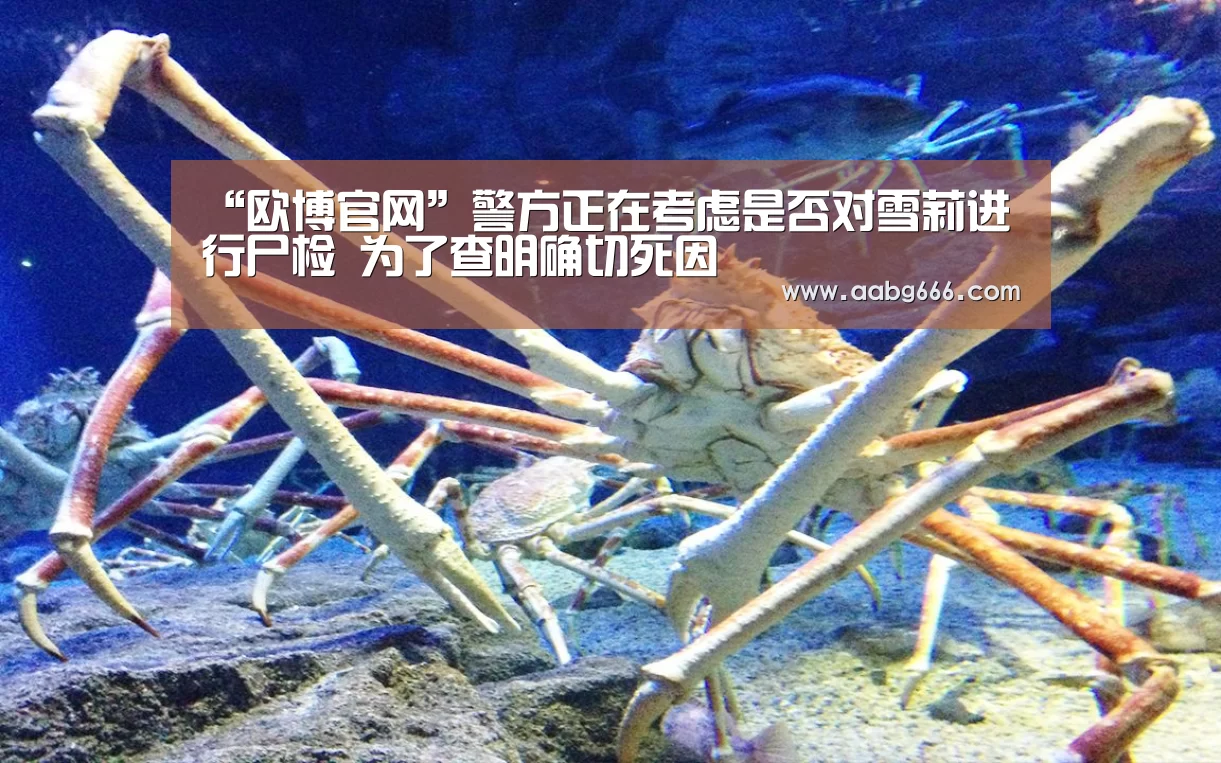 “欧博官网”警方正在考虑是否对雪莉进行尸检 为了查明确切死因(图3) 欧博官网注册