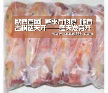 欧博官网|
冬季万物衰 唯有古树逆天开——冬天发芽开叶2010普洱冬茶(图2) 欧博