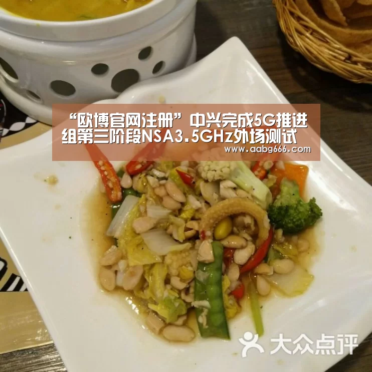 “欧博官网注册”中兴完成5G推进组第三阶段NSA3.5GHz外场测试(图1) 欧博官网注册