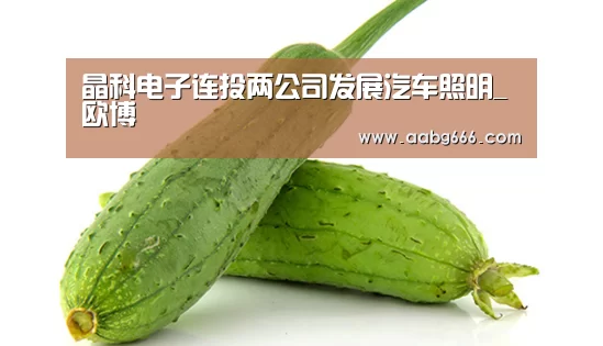晶科电子连投两公司发展汽车照明_欧博(图4) 欧博官网注册